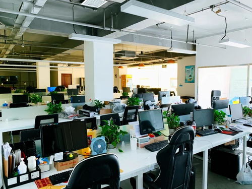 移动互联网视角下的深海教育 研发与维护如何塑造行业口碑